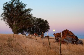 Rising moon Rancho Cordova CA